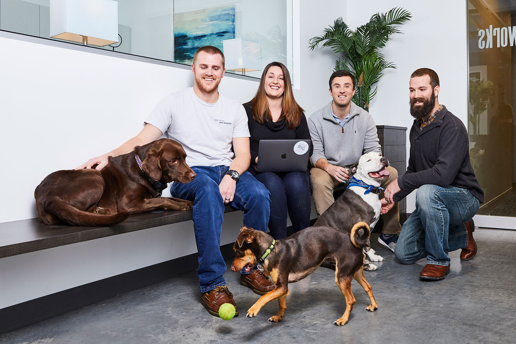 Company-Culture-Meeting-Dogs